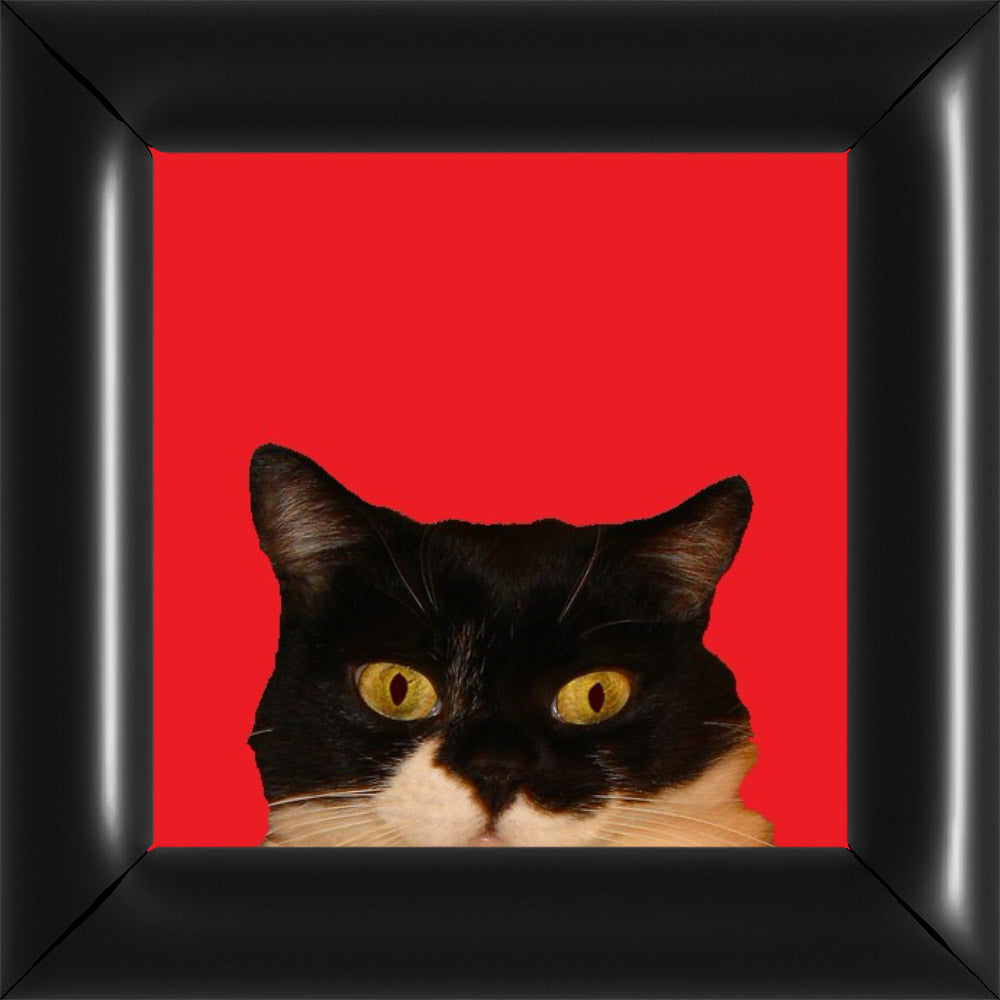 Rozi Kukkant - Piros