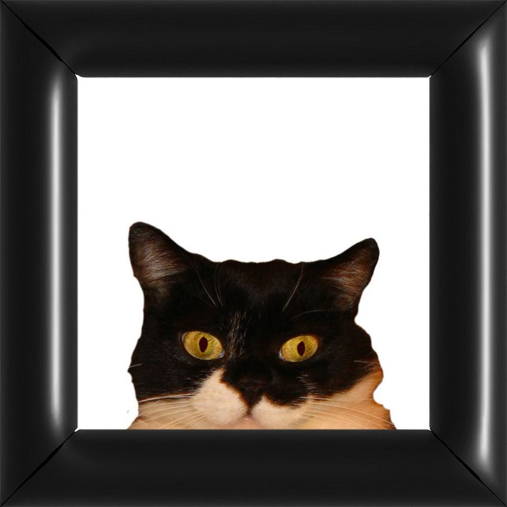 Rozi Kukkant - Fehér