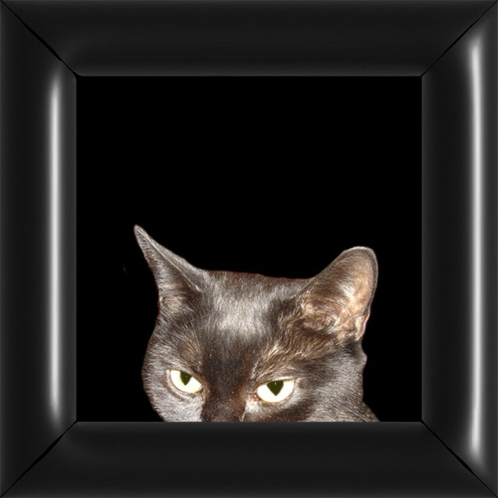 Gizi Kukkant - Fekete