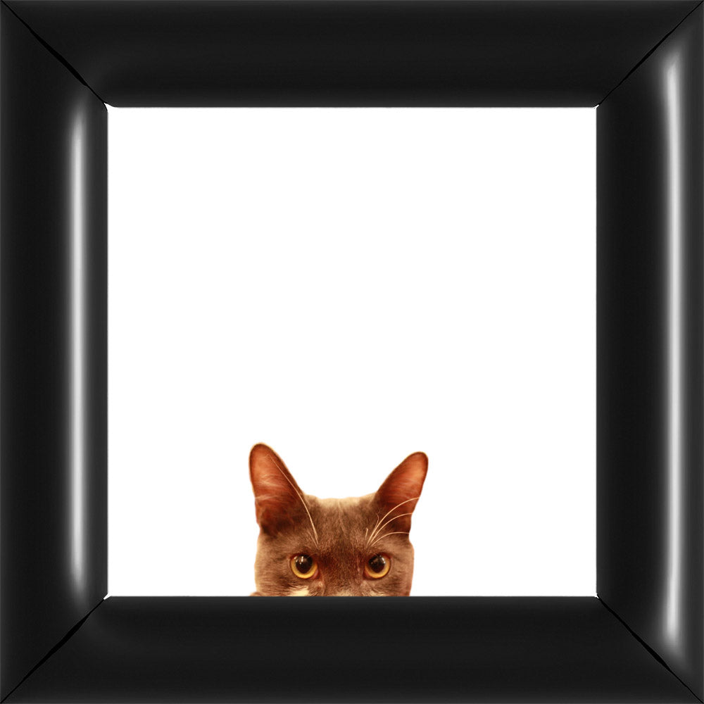 Bubi Kukkant - Fehér