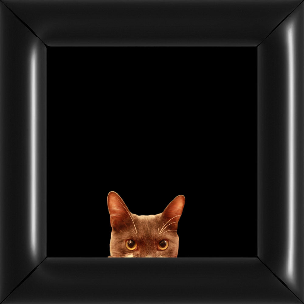 Bubi Kukkant - Fekete