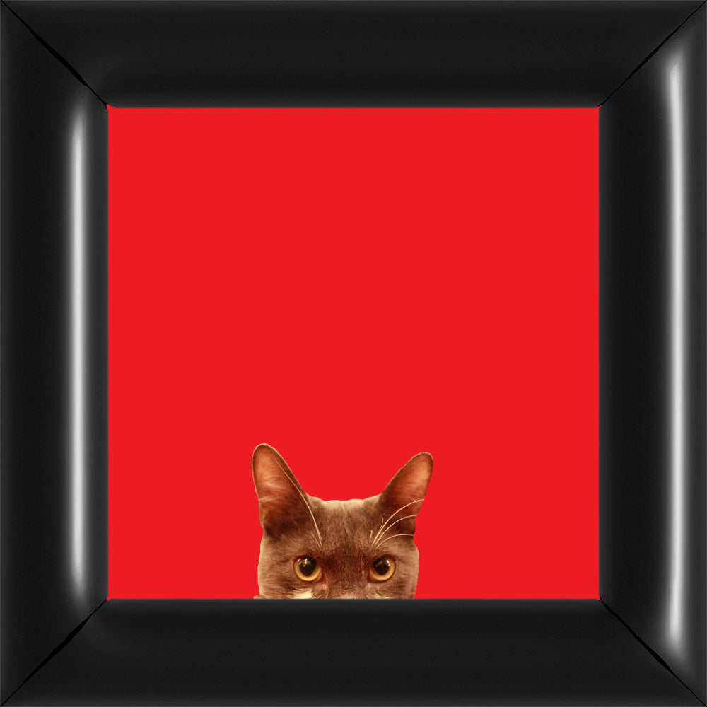 Bubi Kukkant - Piros