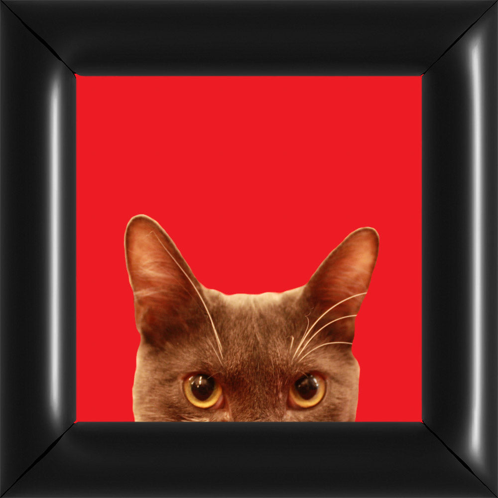 Bubi Kukkant - Nagy - Piros