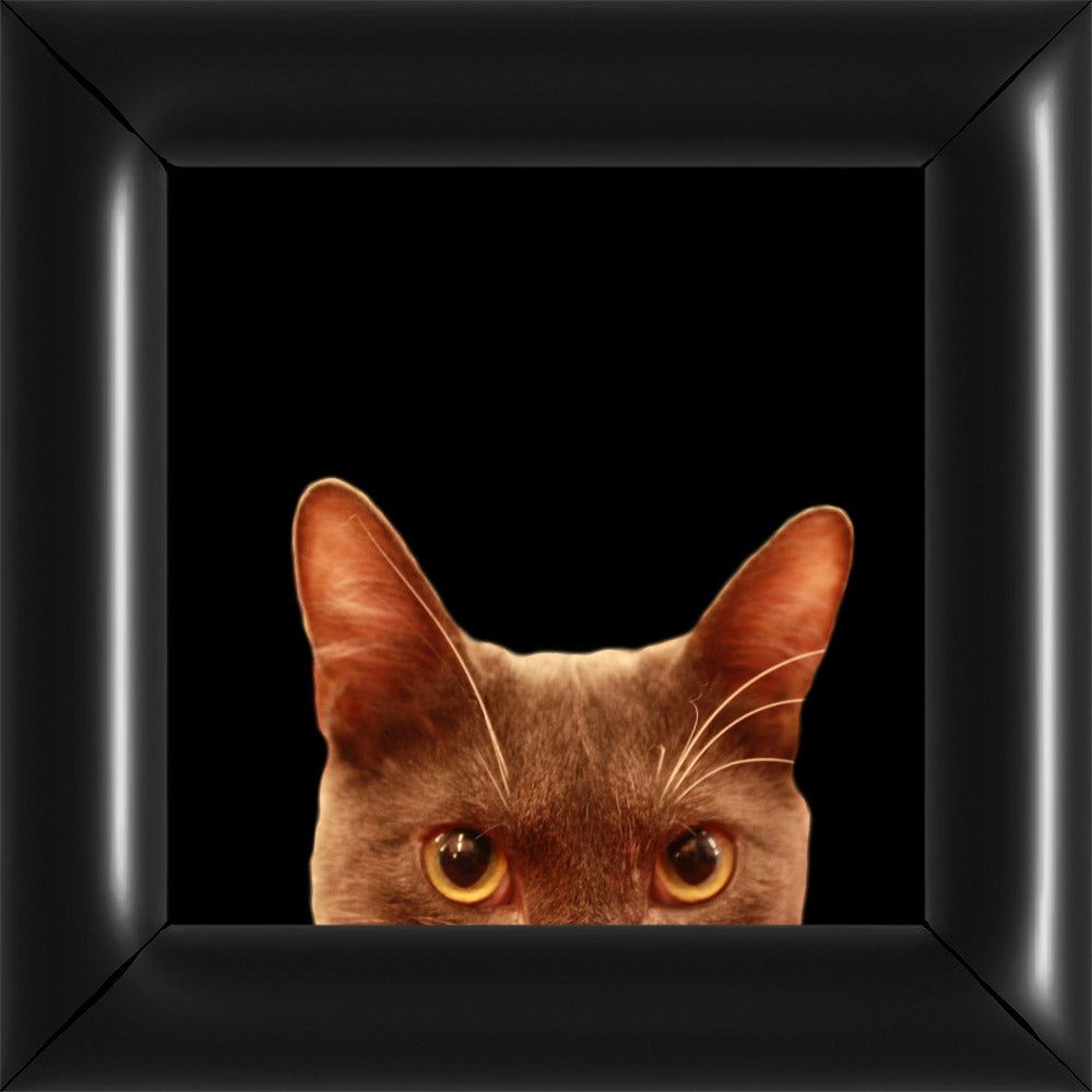 Bubi Kukkant - Fekete - Nagy