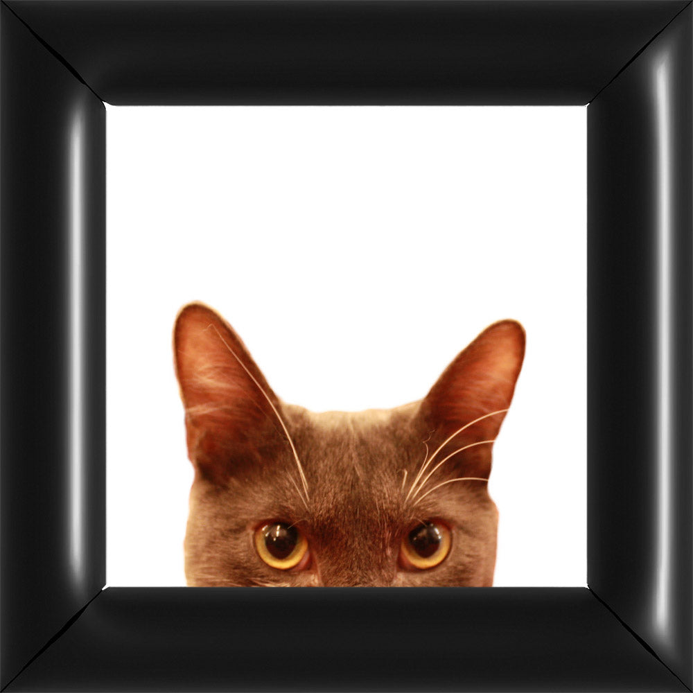 Bubi Kukkant - Fehér - Nagy