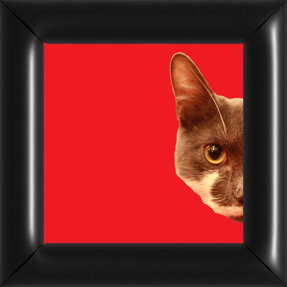 Bubi Kukkant - Jobb - Piros