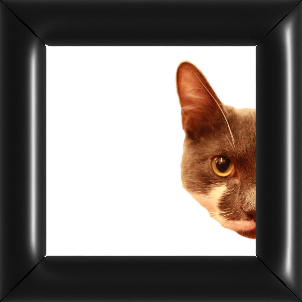 Bubi Kukkant - Jobb - Fehér