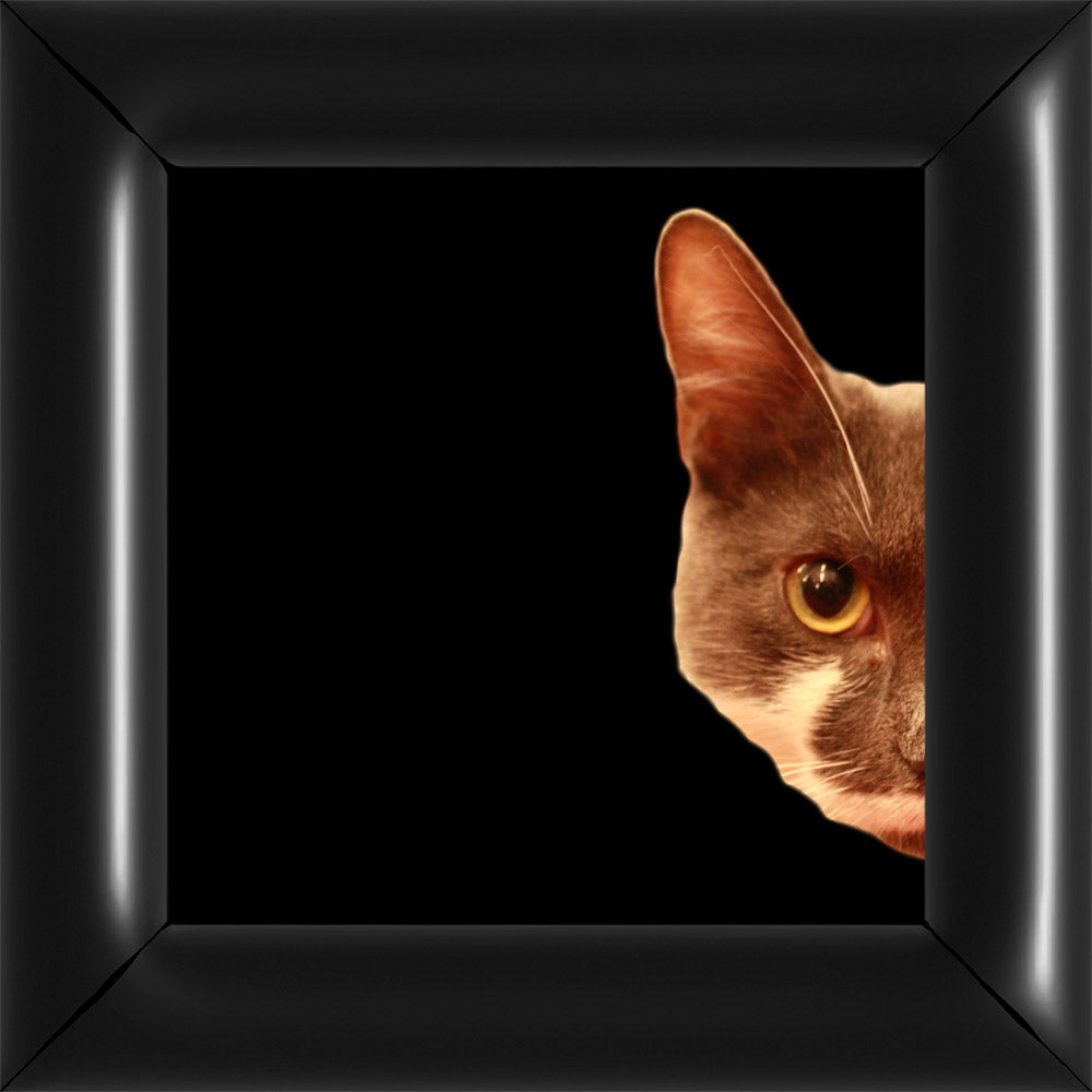 Bubi Kukkant - Jobb - Fekete