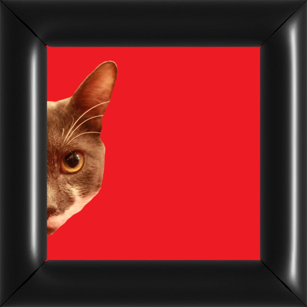 Bubi Kukkant - Bal - Piros