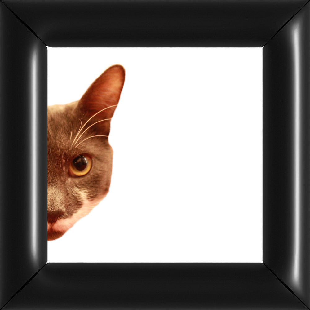 Bubi Kukkant - Bal - Fehér